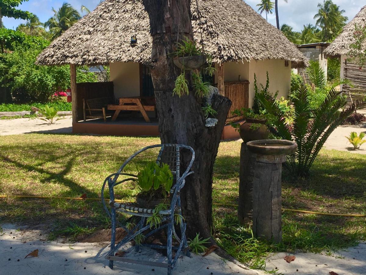 Driftwood Beach Lodge Jambiani  Εξωτερικό φωτογραφία