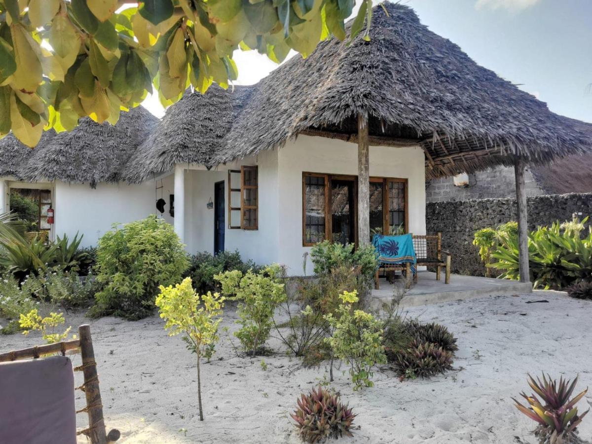 Driftwood Beach Lodge Jambiani  Εξωτερικό φωτογραφία