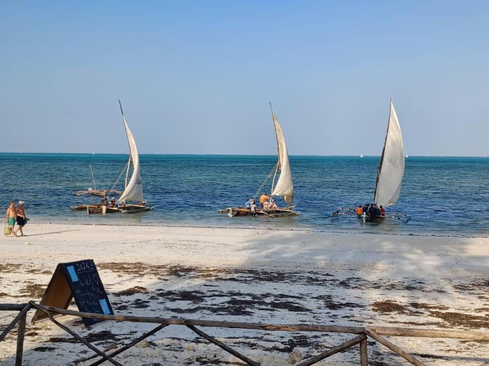 Driftwood Beach Lodge Jambiani  Εξωτερικό φωτογραφία