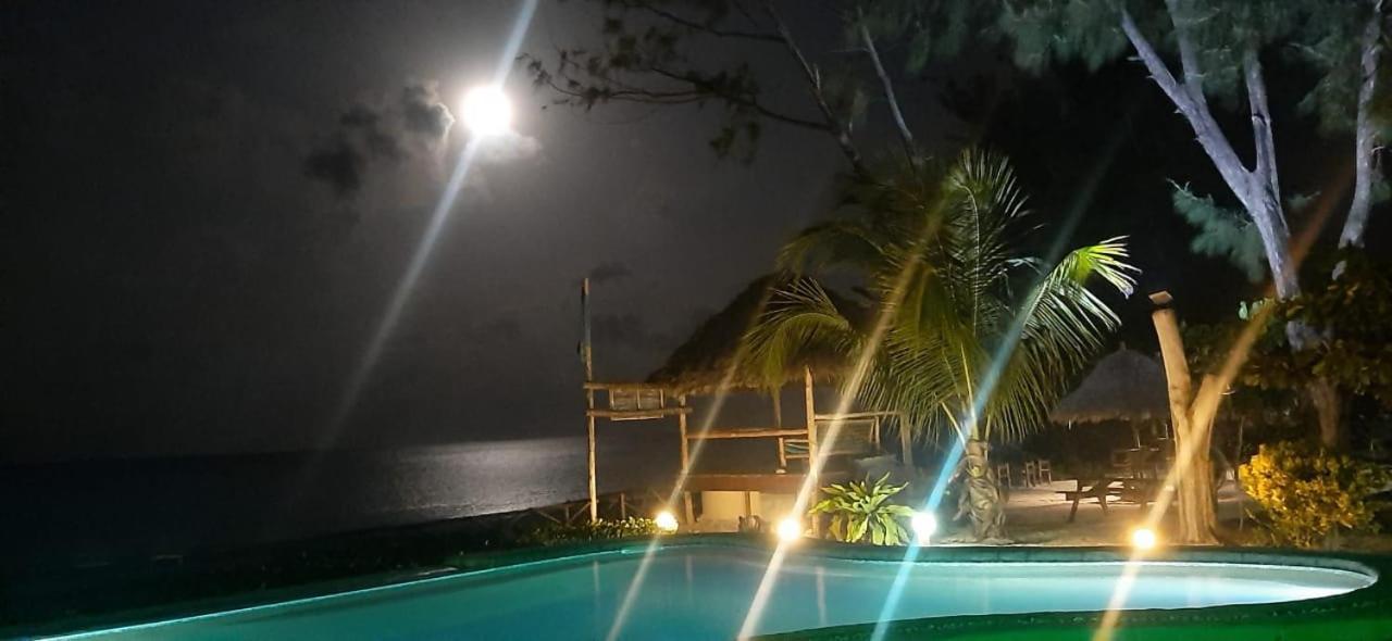 Driftwood Beach Lodge Jambiani  Εξωτερικό φωτογραφία