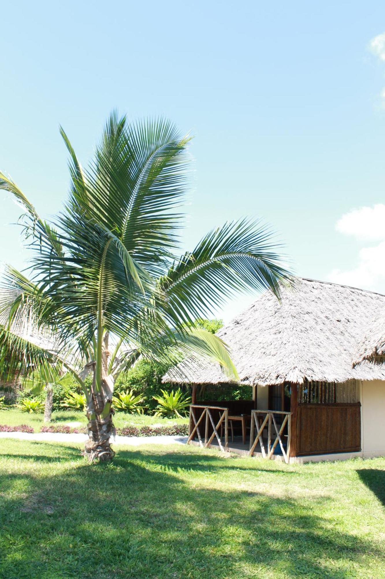 Driftwood Beach Lodge Jambiani  Εξωτερικό φωτογραφία