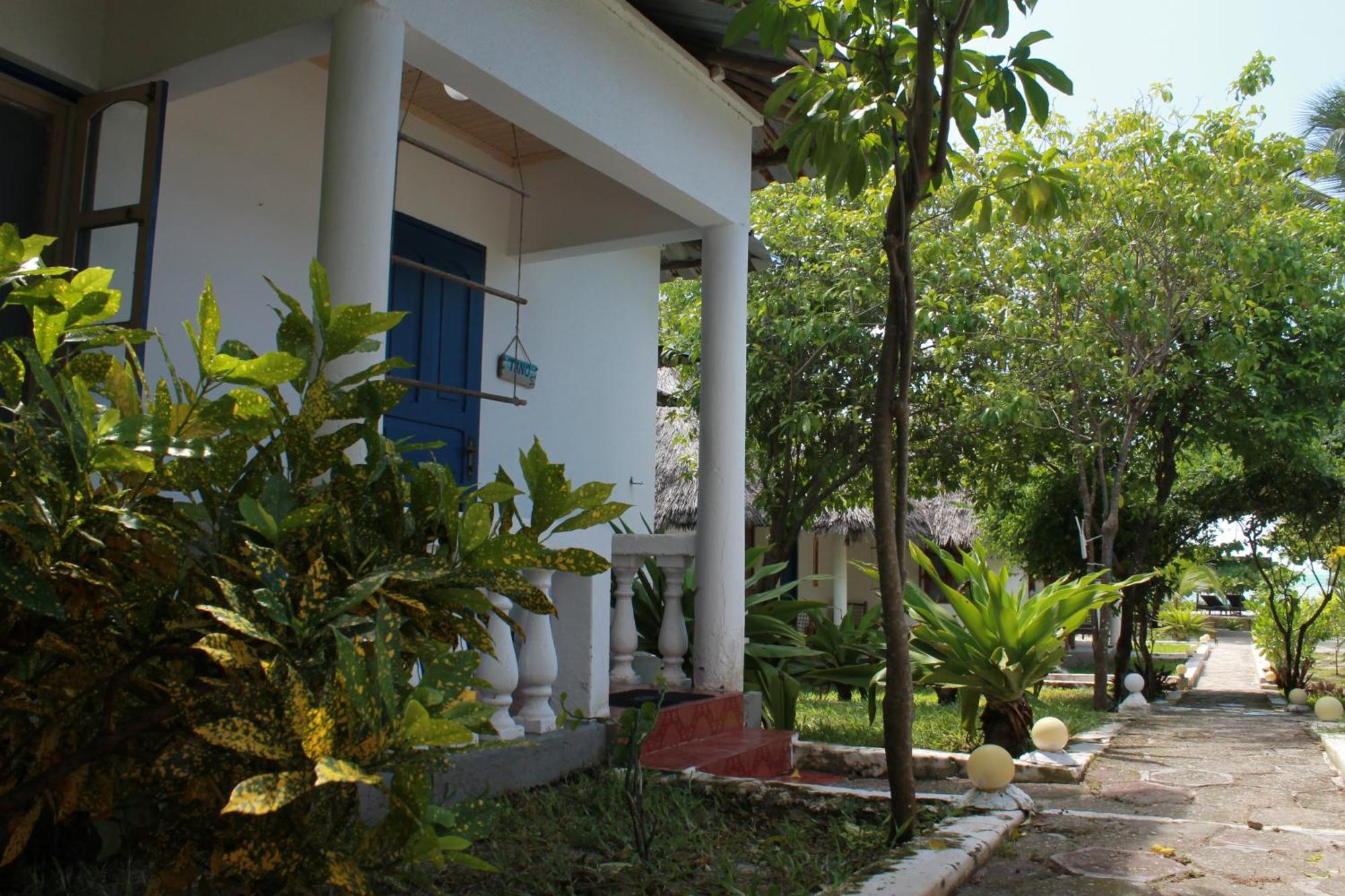 Driftwood Beach Lodge Jambiani  Εξωτερικό φωτογραφία