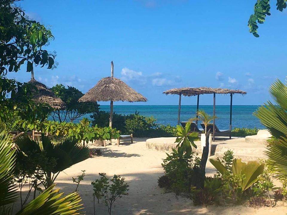Driftwood Beach Lodge Jambiani  Εξωτερικό φωτογραφία