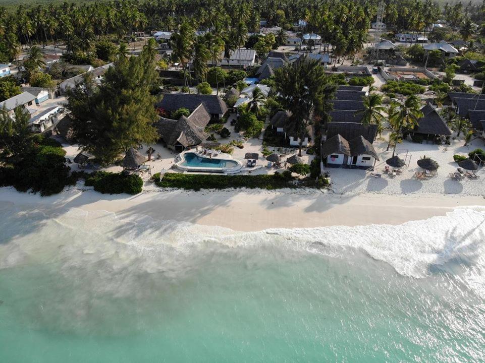 Driftwood Beach Lodge Jambiani  Εξωτερικό φωτογραφία